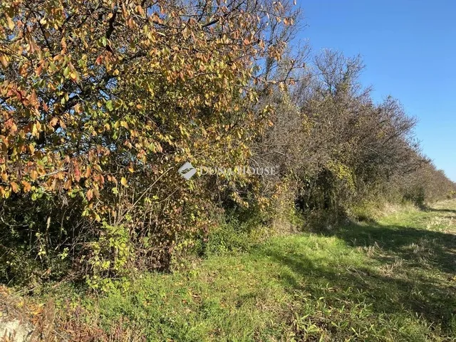 Eladó telek Isztimér 3385 nm