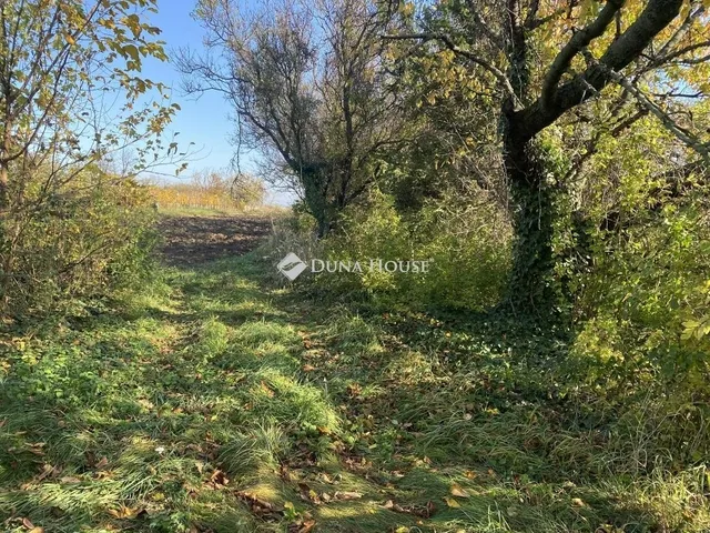 Eladó telek Isztimér 1626 nm