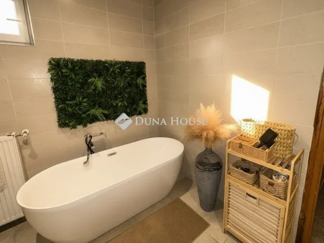 Eladó ház Sárszentmihály 280 nm