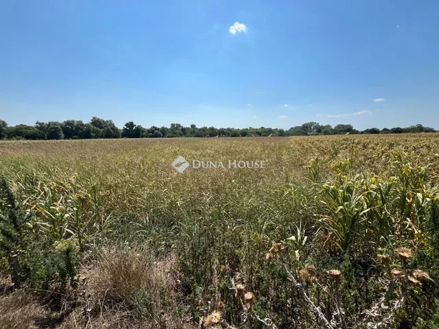 Eladó telek Pátka 1751 nm