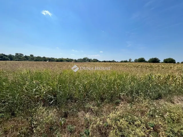Eladó telek Pátka 1751 nm
