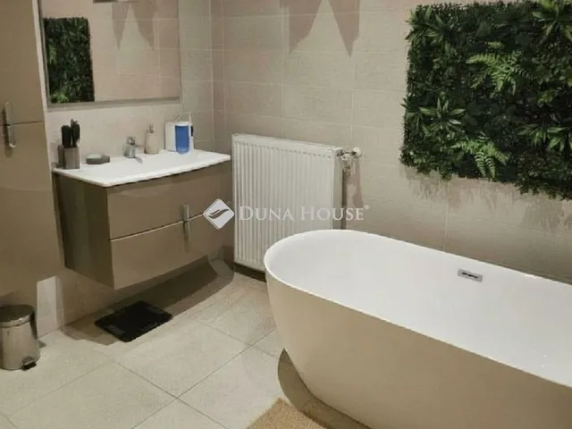 Eladó ház Sárszentmihály 280 nm