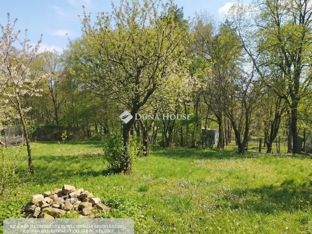 Eladó ház Bodajk 150 nm