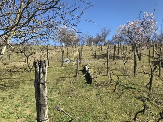 Eladó telek Mór 3345 nm