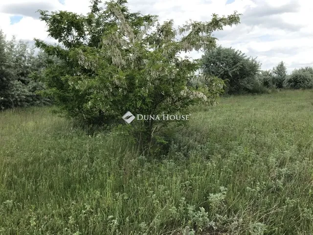 Eladó telek Székesfehérvár 5173 nm