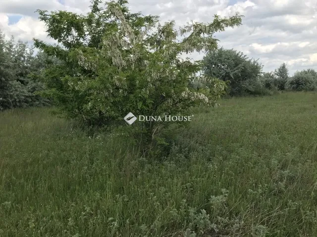 Eladó telek Székesfehérvár 5173 nm