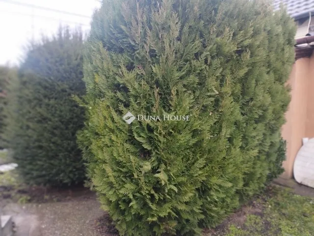 Eladó ház Székesfehérvár 90 nm