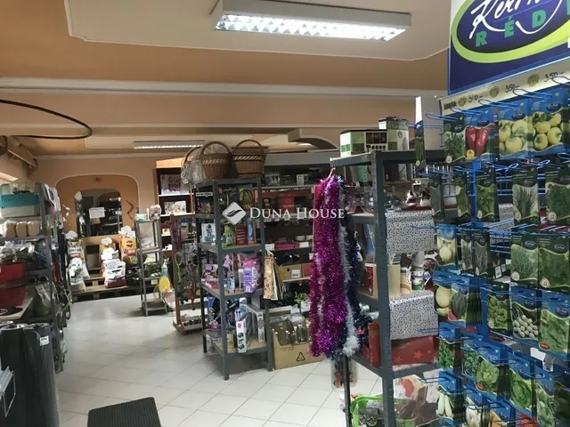 Eladó ház Nagyvenyim 382 nm