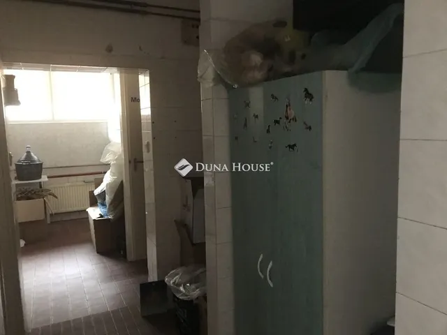 Eladó ház Nagyvenyim 382 nm