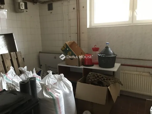 Eladó ház Nagyvenyim 382 nm