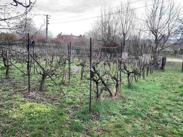 Eladó üdülő és hétvégi ház Sukoró 60 nm