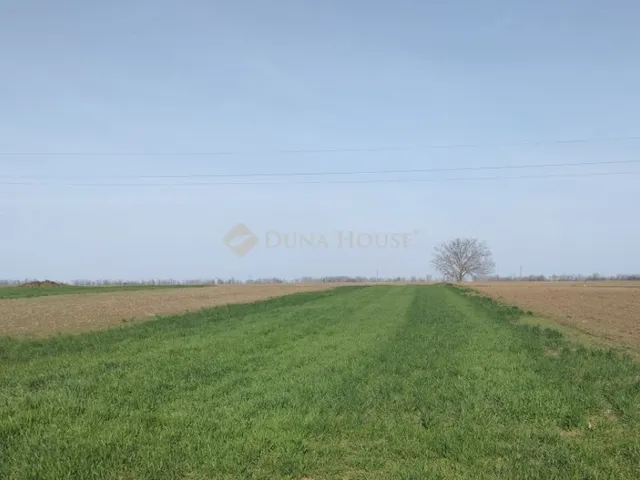 Eladó telek Polgárdi 1594 nm