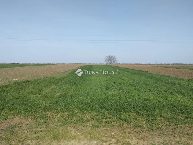 Eladó telek Polgárdi 1594 nm