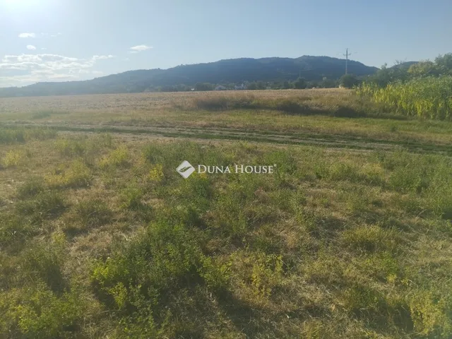 Eladó telek Csákvár 1333 nm