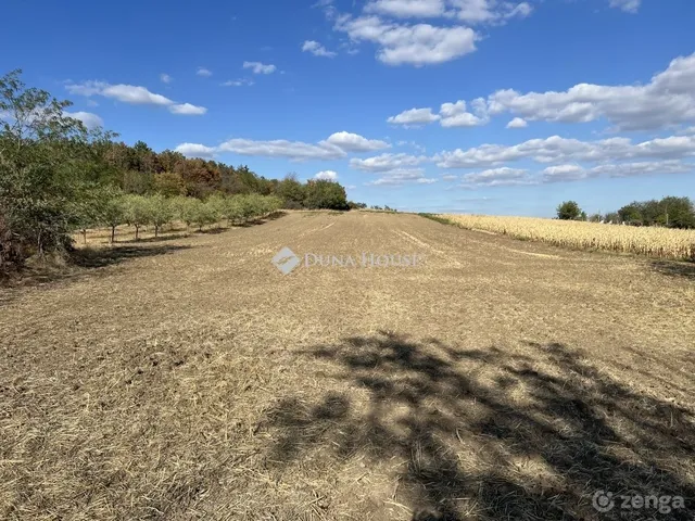 Eladó telek Magyaralmás 2927 nm