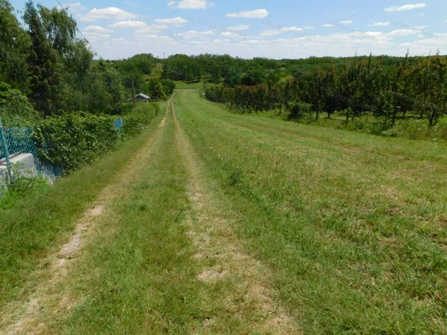 Eladó mezőgazdasági ingatlan Siófok 3086 nm