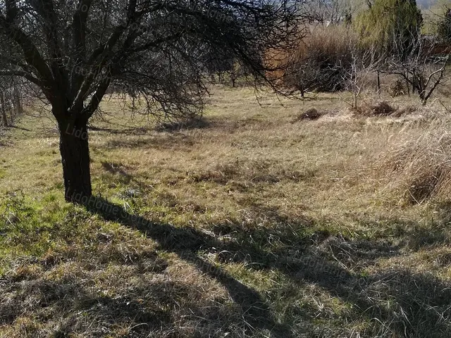 Eladó mezőgazdasági ingatlan Siófok 1489 nm