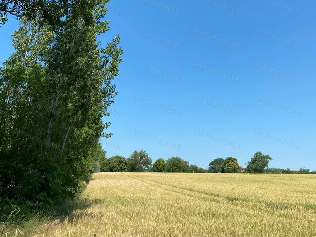 Eladó telek Balatonszárszó 1858 nm