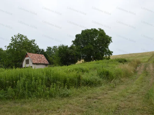 Eladó mezőgazdasági ingatlan Bálványos 40 nm