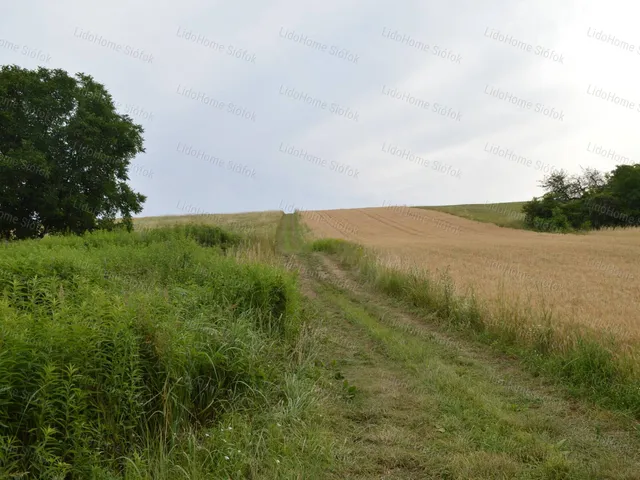 Eladó mezőgazdasági ingatlan Bálványos 40 nm