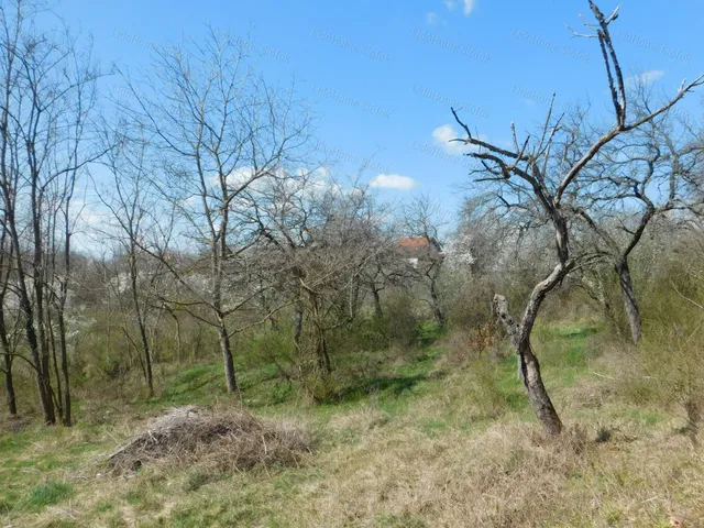 Eladó telek Zamárdi 1 nm