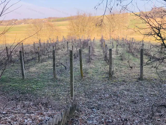 Eladó mezőgazdasági ingatlan Ságvár 30 nm