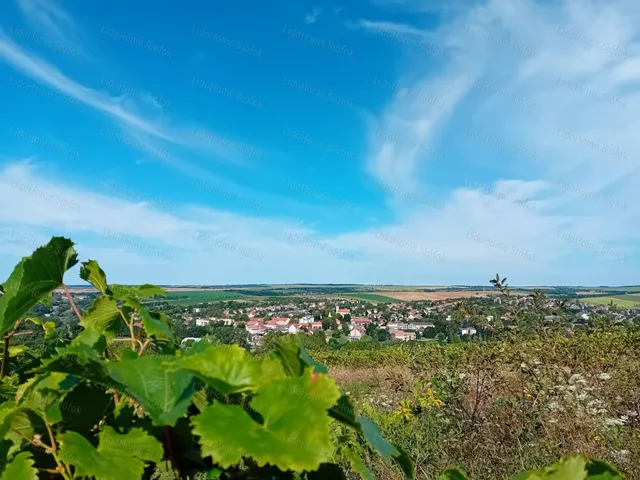 Eladó mezőgazdasági ingatlan Tab 43 nm