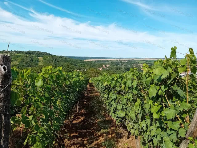 Eladó mezőgazdasági ingatlan Tab 43 nm