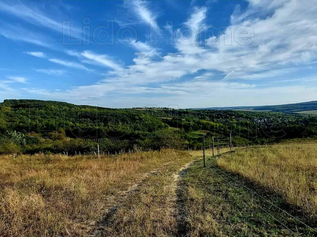 Eladó mezőgazdasági ingatlan Kötcse 13639 nm