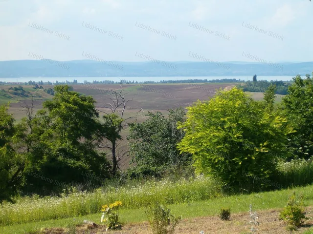 Eladó mezőgazdasági ingatlan Balatonendréd 50 nm