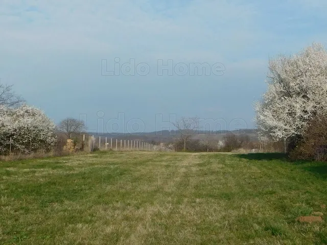Eladó telek Balatonszárszó 3396 nm
