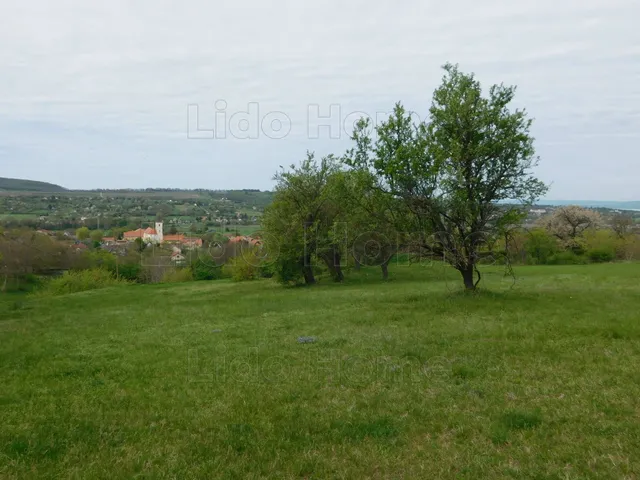 Eladó telek Kőröshegy 9282 nm