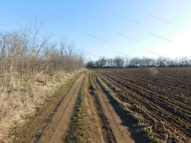 Eladó mezőgazdasági ingatlan Balatonendréd 23540 nm
