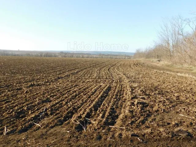 Eladó mezőgazdasági ingatlan Balatonendréd 23540 nm