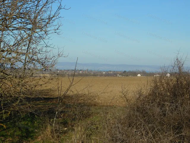 Eladó mezőgazdasági ingatlan Balatonendréd 23540 nm