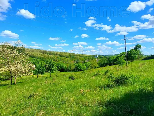Eladó telek Pusztaszemes 3120 nm