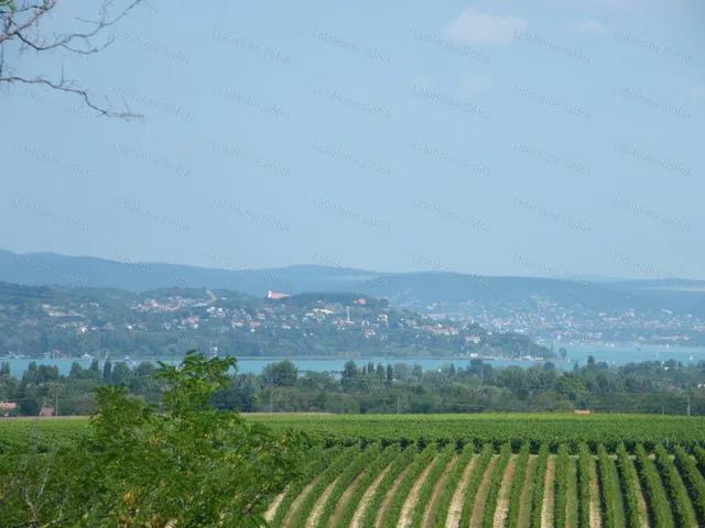 Eladó mezőgazdasági ingatlan Kőröshegy 80 nm