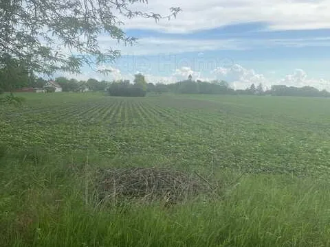 Eladó telek Balatonszabadi 5800 nm