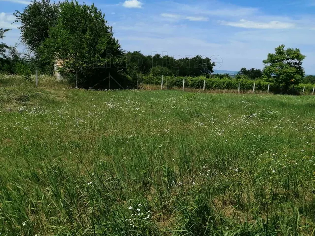 Eladó mezőgazdasági ingatlan Balatonőszöd 10 nm