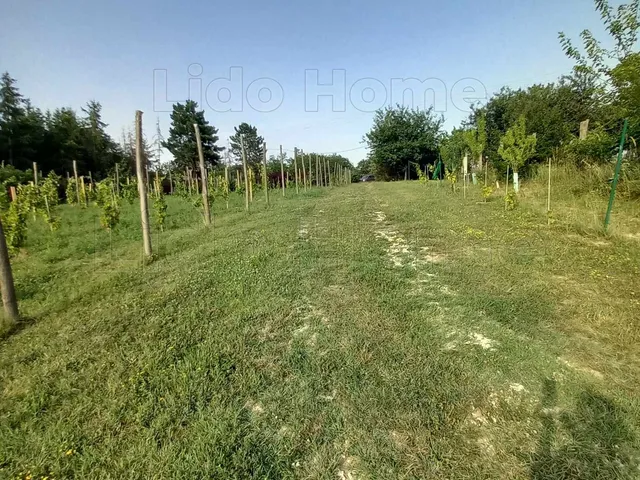 Eladó mezőgazdasági ingatlan Siófok 1500 nm