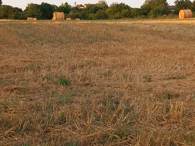 Eladó mezőgazdasági ingatlan Balatonszabadi 4914 nm