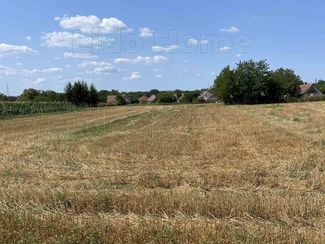 Eladó mezőgazdasági ingatlan Balatonszabadi 1800 nm