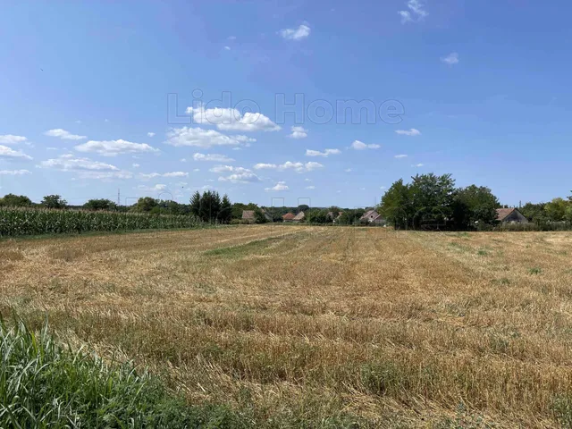 Eladó mezőgazdasági ingatlan Balatonszabadi 1800 nm