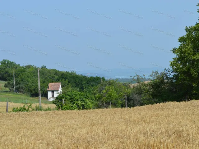 Eladó mezőgazdasági ingatlan Balatonendréd 3646 nm