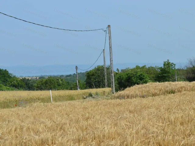 Eladó mezőgazdasági ingatlan Balatonendréd 3646 nm