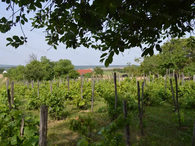 Eladó mezőgazdasági ingatlan Balatonendréd 3646 nm
