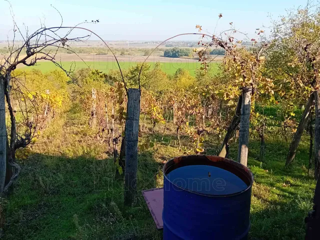 Eladó mezőgazdasági ingatlan Siófok 27 nm
