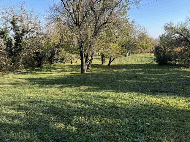 Eladó mezőgazdasági ingatlan Siójut 1509 nm