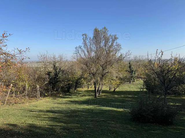Eladó mezőgazdasági ingatlan Siójut 1509 nm