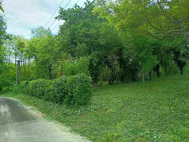 Eladó telek Zala 2000 nm